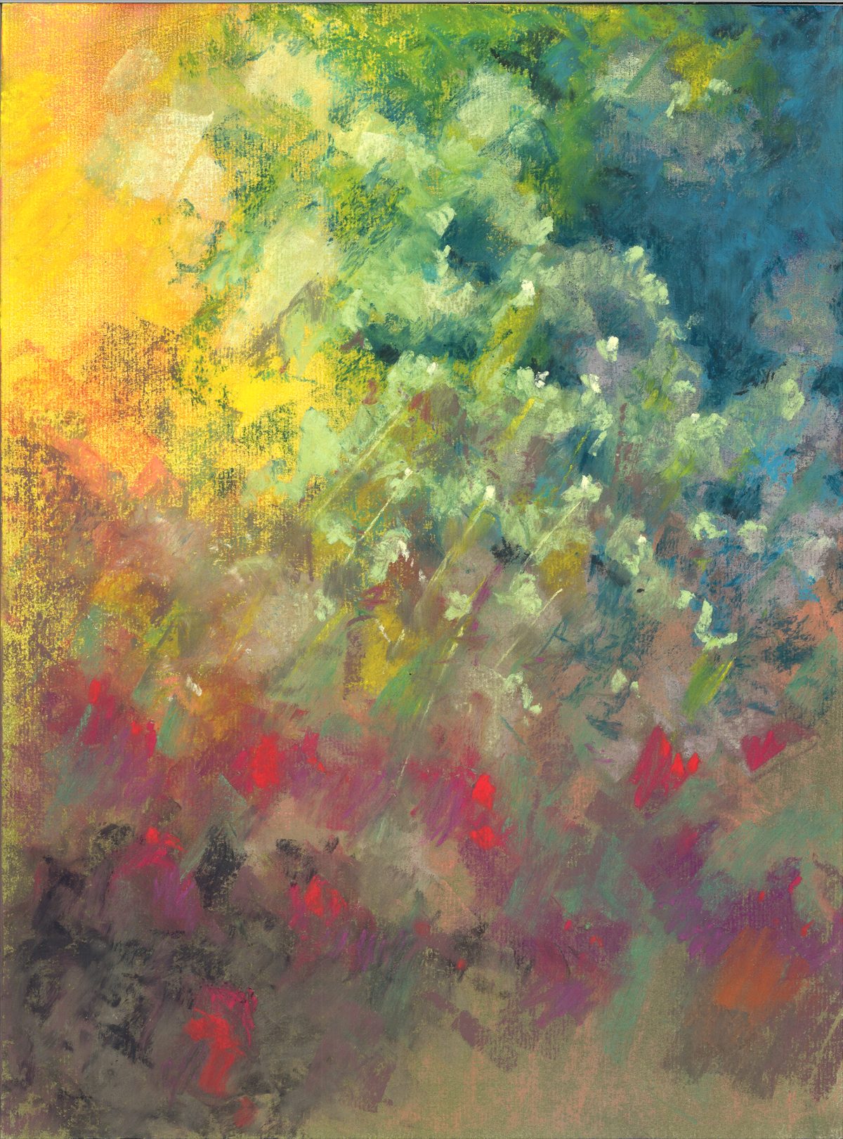 Floraison de printemps