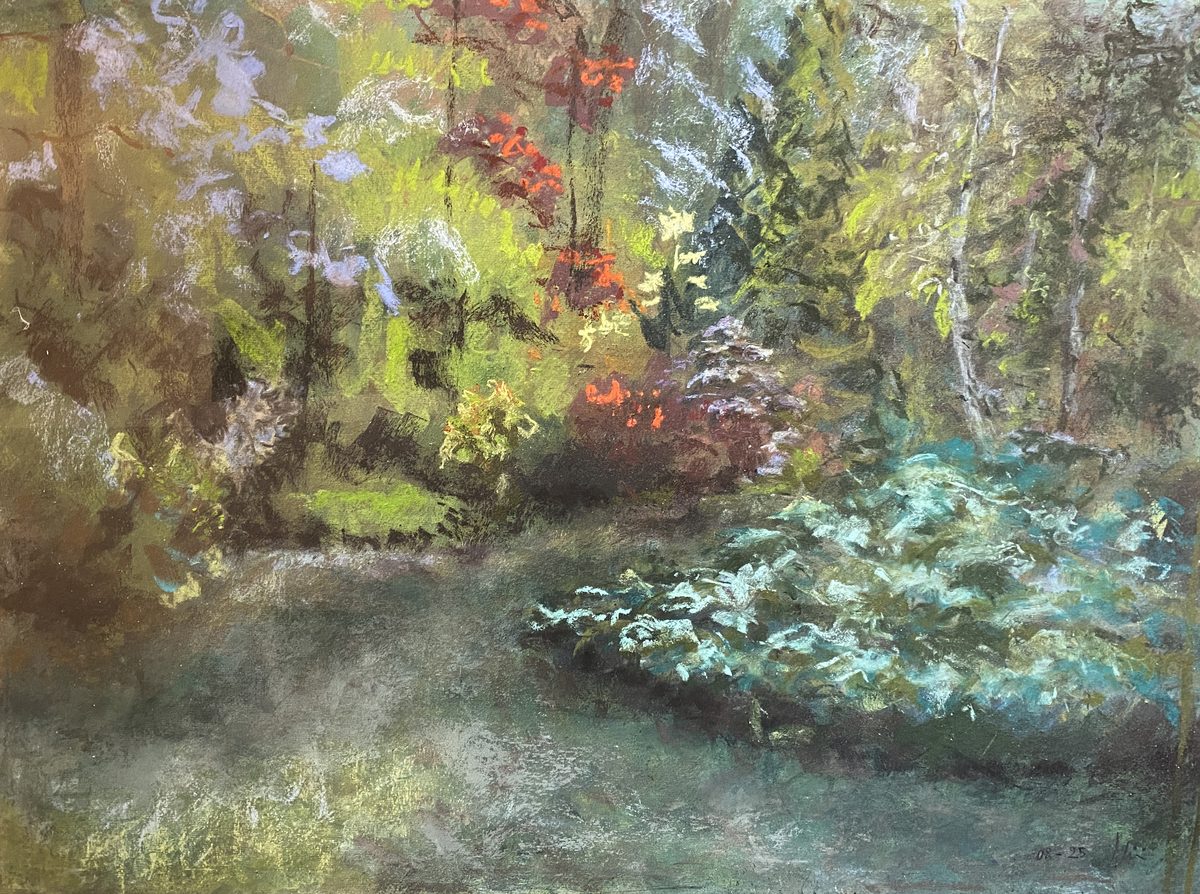 Le jardin de l'atelier
