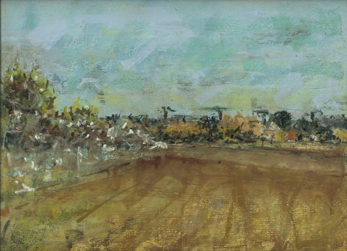Le champ de Thierry
