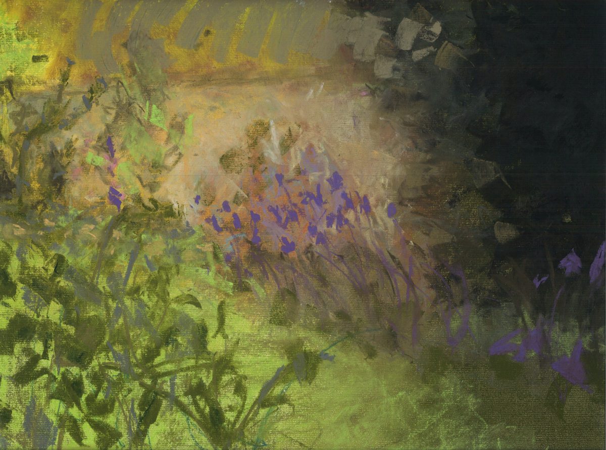 L'iris du jardin de Thierry